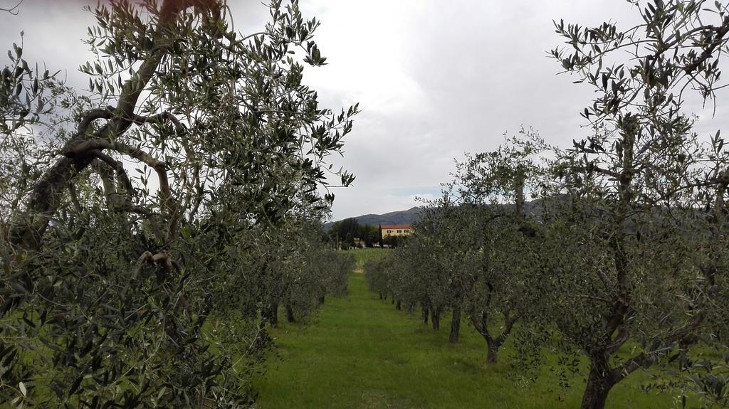 Agriturismo Luggiano Vinci Extérieur photo