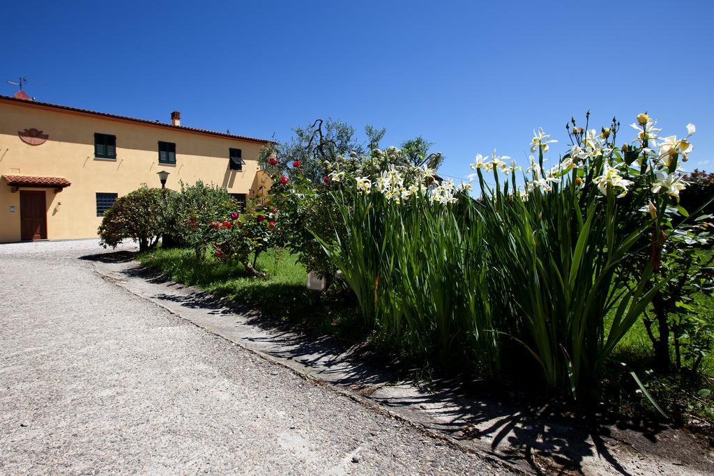 Agriturismo Luggiano Vinci Extérieur photo